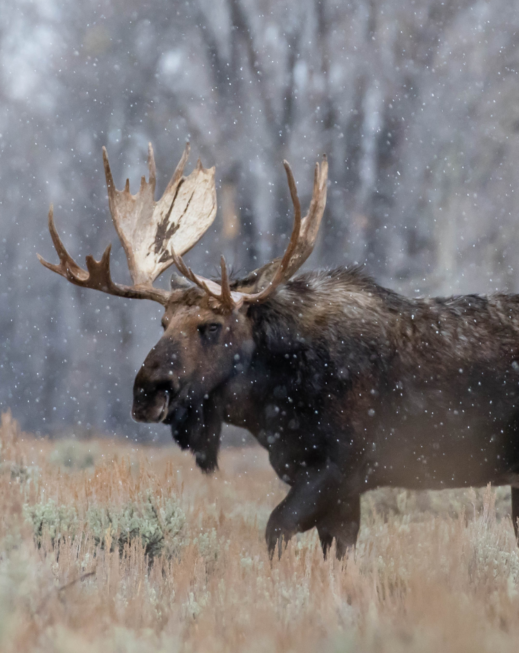 Cumberland House Cree Nation